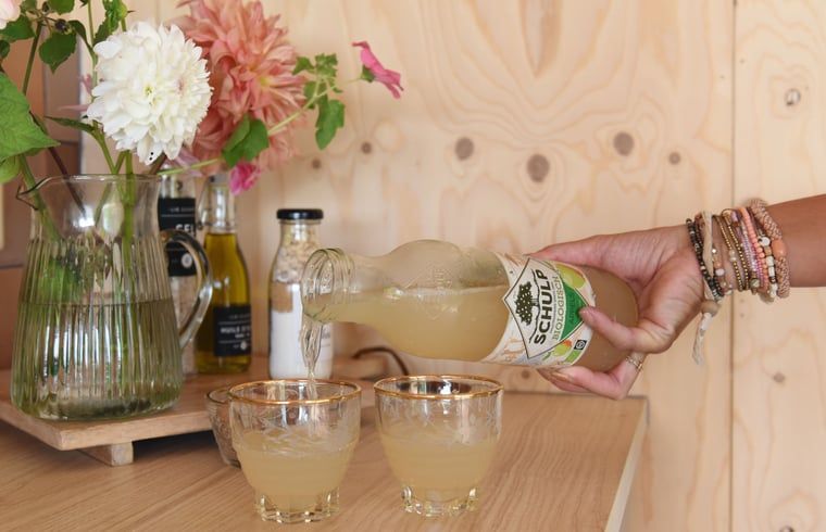 Verfrissend drankje in Huisje in Echtenerbrug, vakantiehuis aan het Tjeukemeer, Friese meren.