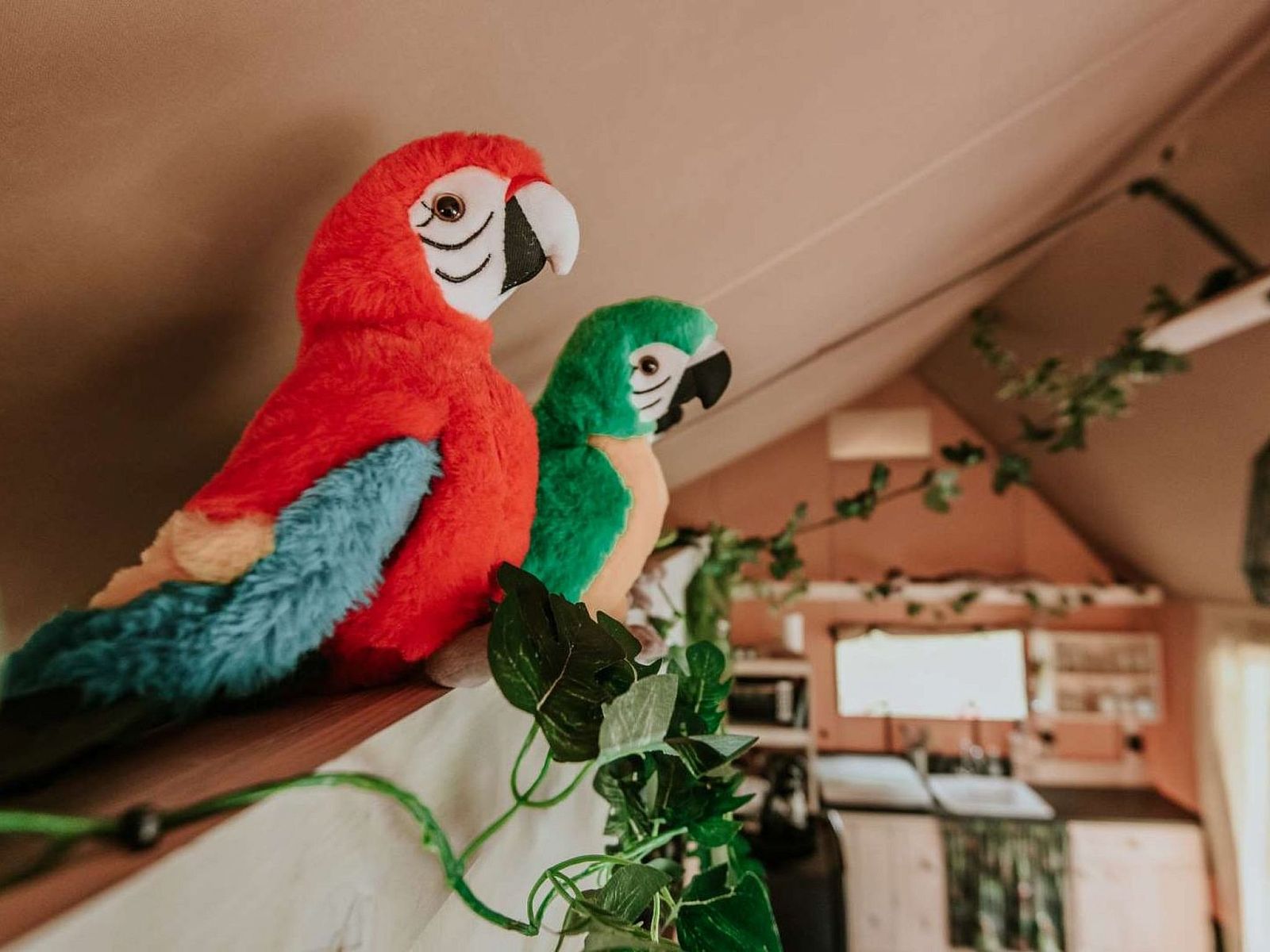 Verblijf 100223 - Vakantiewoning Tjeukemeer - Vakantiehuis Kampari - Luxe Safaritent - De Jungle
