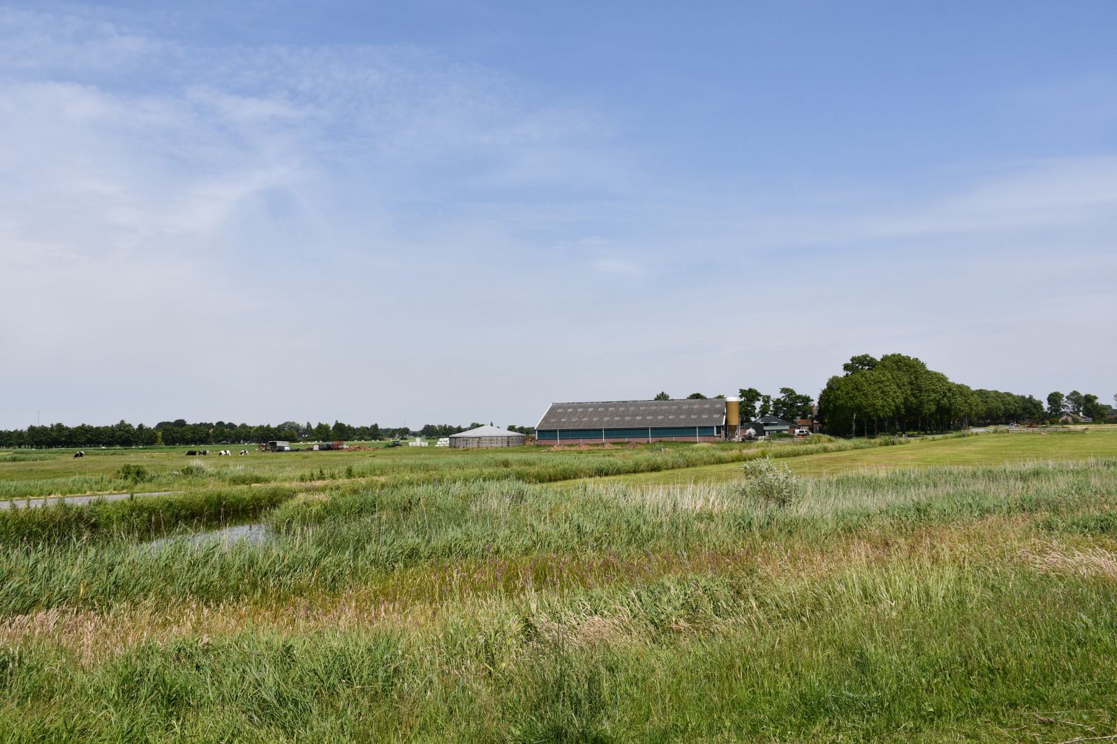Moderne badkamer in vakantiehuis FR199 in Rohel, nabij Tjeukemeer, Friese meren.