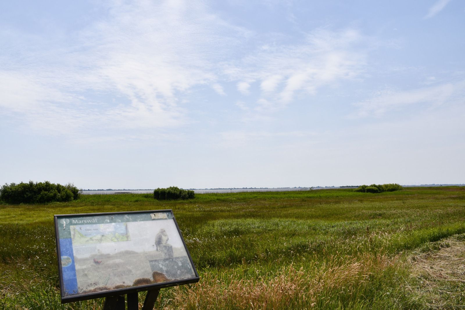 Terras met uitzicht op groene omgeving bij vakantiehuis FR199 in Rohel, Friese meren.