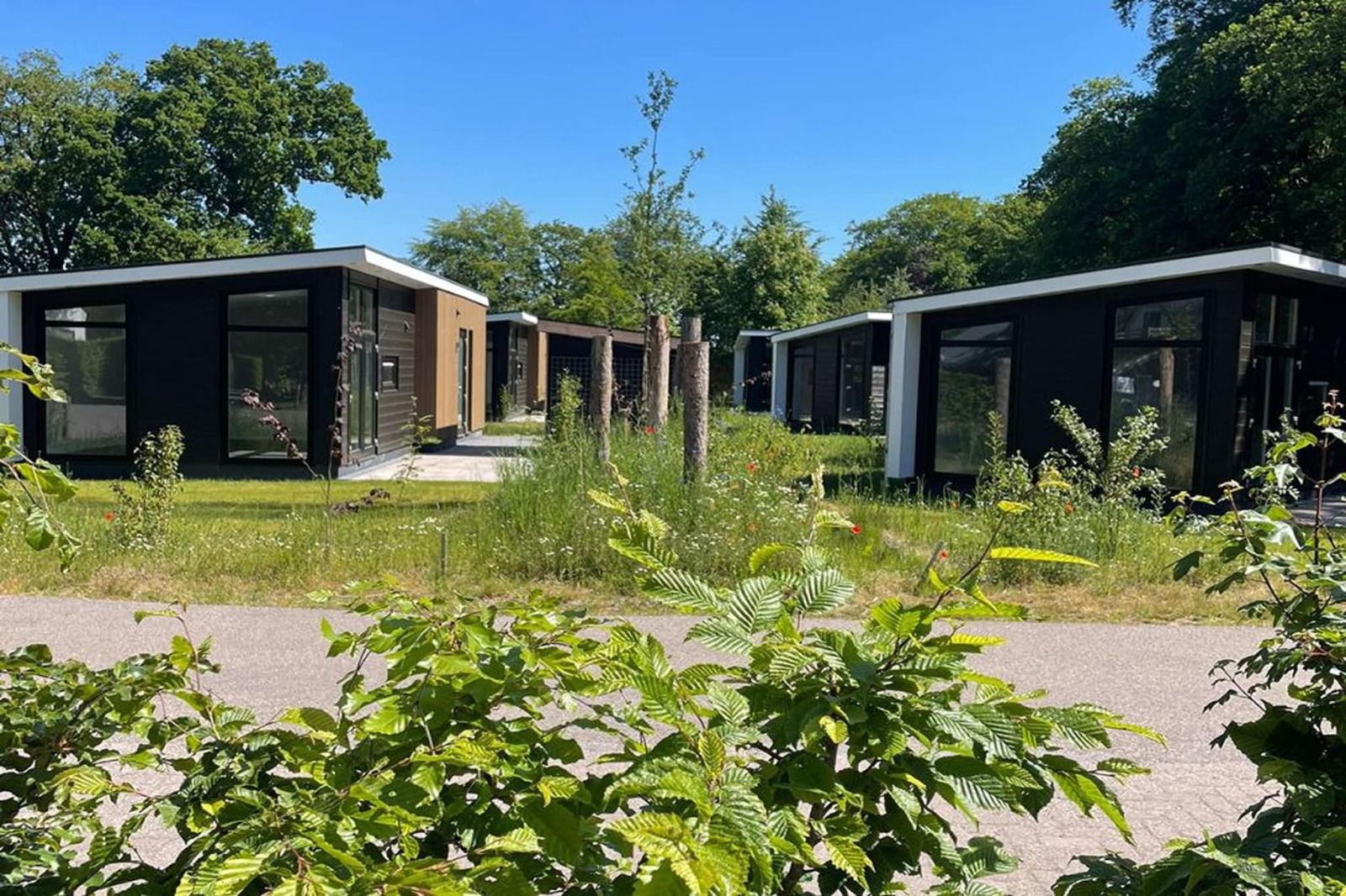 Verblijf 110505 - Vakantiewoning Langweerderwielen - «Yn 't Bosk 12»