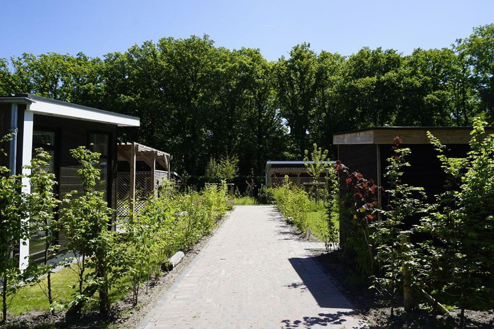 Verblijf 110506 - Vakantiewoning Langweerderwielen - «Op'e Pleats 1»