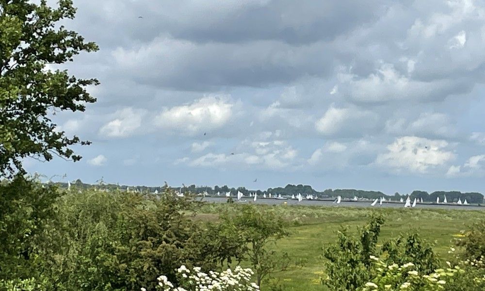 Guest house 120301 - Holiday property Sneekermeer - Bungalow Sneekermeer (+ zeilboot of sloep)