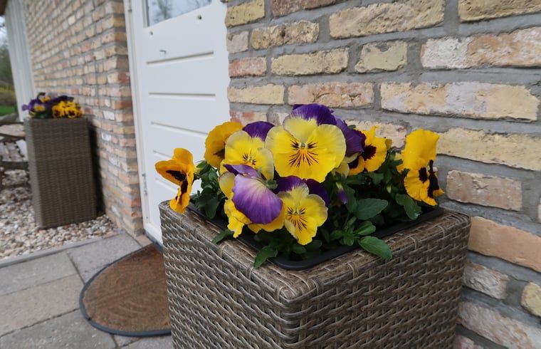 Guest house 130105 - Holiday property Bergumermeer - Vakantiehuis in Burgum