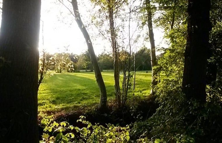 Guest house 130105 - Holiday property Bergumermeer - Vakantiehuis in Burgum