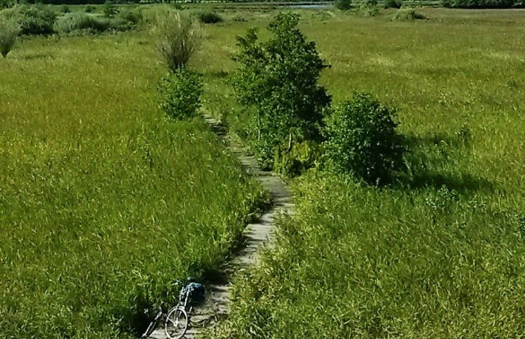 Guest house 130105 - Holiday property Bergumermeer - Vakantiehuis in Burgum