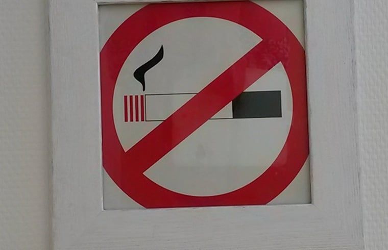 Guest house 130105 - Holiday property Bergumermeer - Vakantiehuis in Burgum