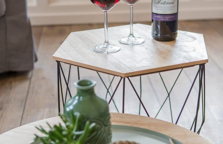 Unterkunft 130305 - Ferienhaus Bergumermeer - Huisje in Sumar