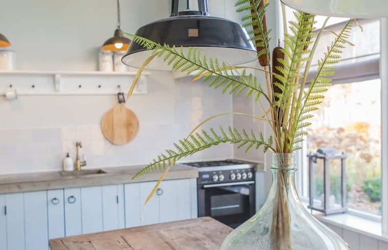 Unterkunft 130305 - Ferienhaus Bergumermeer - Huisje in Sumar