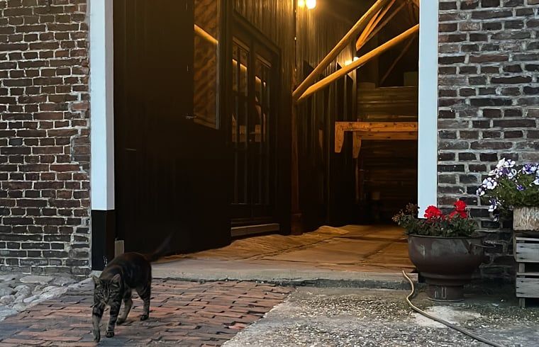 Guest house 130307 - Holiday property Bergumermeer - Huisje in Sumar