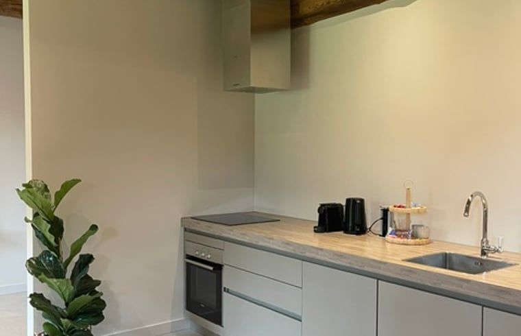 Guest house 130307 - Holiday property Bergumermeer - Huisje in Sumar