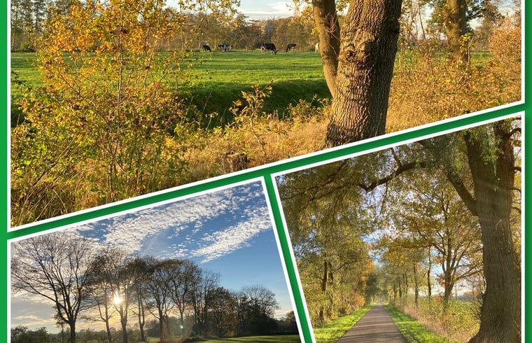Natuurrijke omgeving rond Vakantiehuis in Sumar, Friese meren, met wandelpaden.