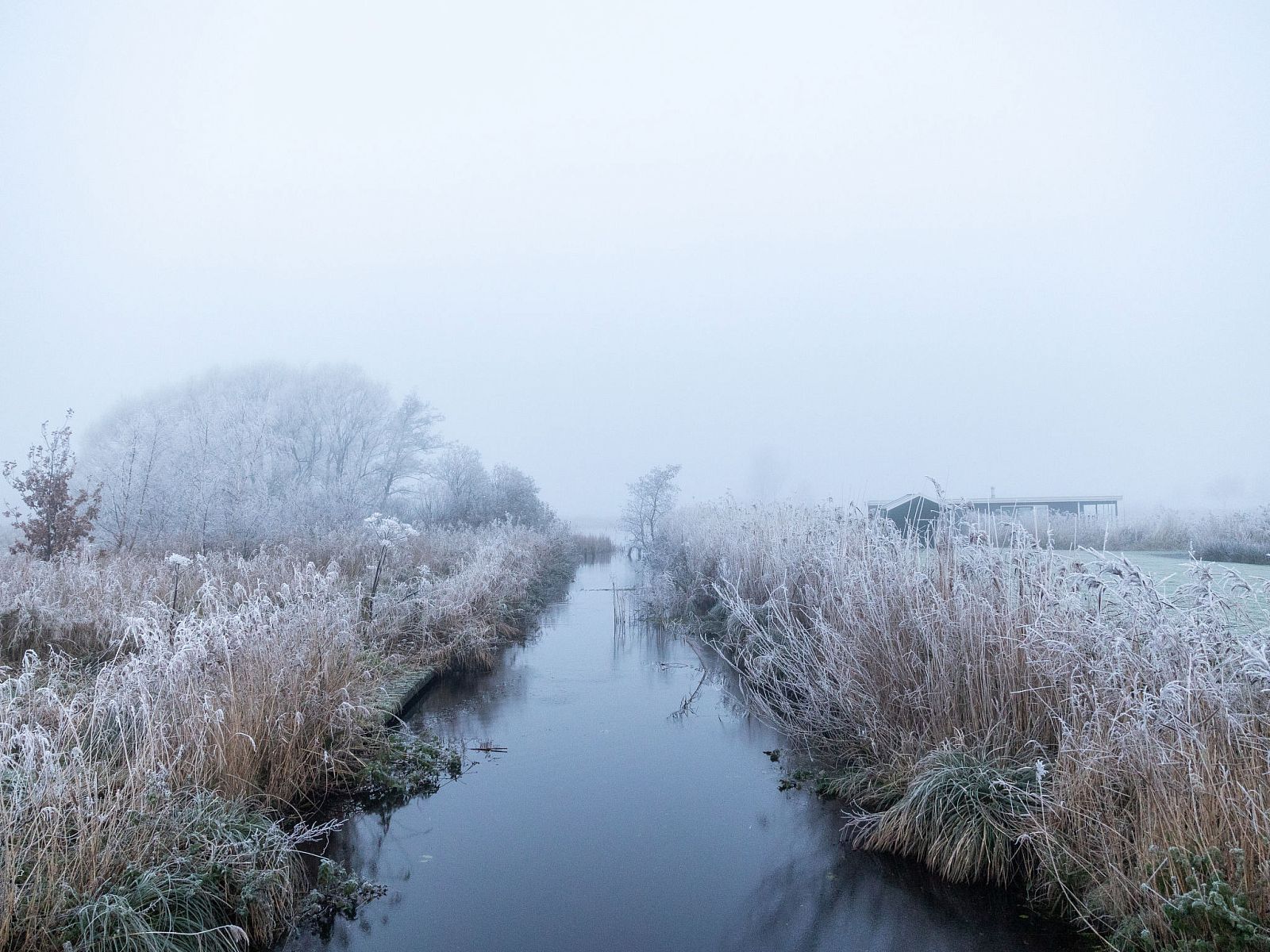 Unterkunft 140310 - Ferienhaus Princehof/Alde feanen - Vakantiehuis Natuurlijk de Veenhoop