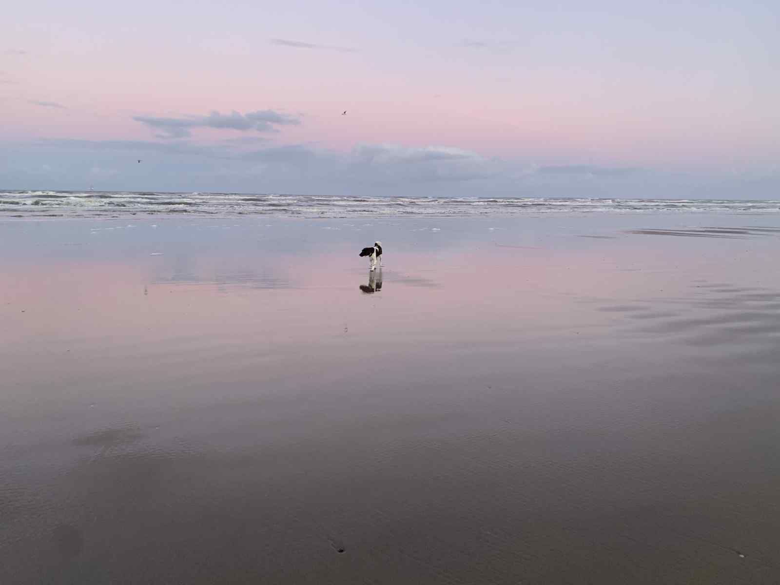 Unterkunft 150131 - Ferienhaus Pikmeer - FR341
