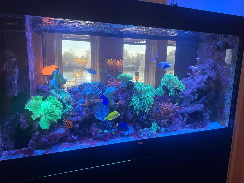 Guest house 156205 - Apartment Walcheren - Hotel Le Beau Rivage