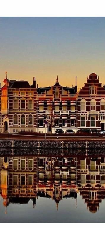 Guest house 156207 - Apartment Walcheren - Budget Hotel Le Beau Rivage