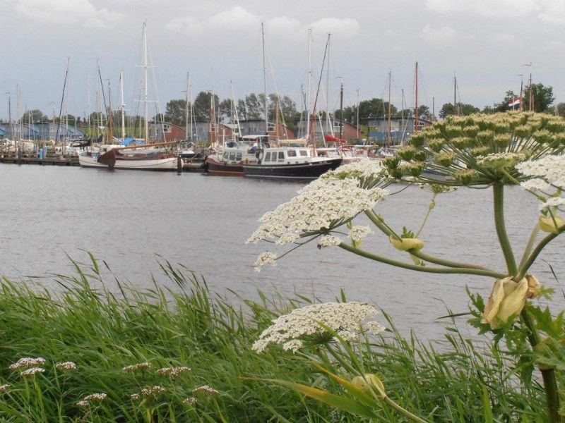 Prachtig uitzicht op de haven van Oostmahorn nabij Vakantiewoningen Oostmahorn, omgeven door natuur en rust.
