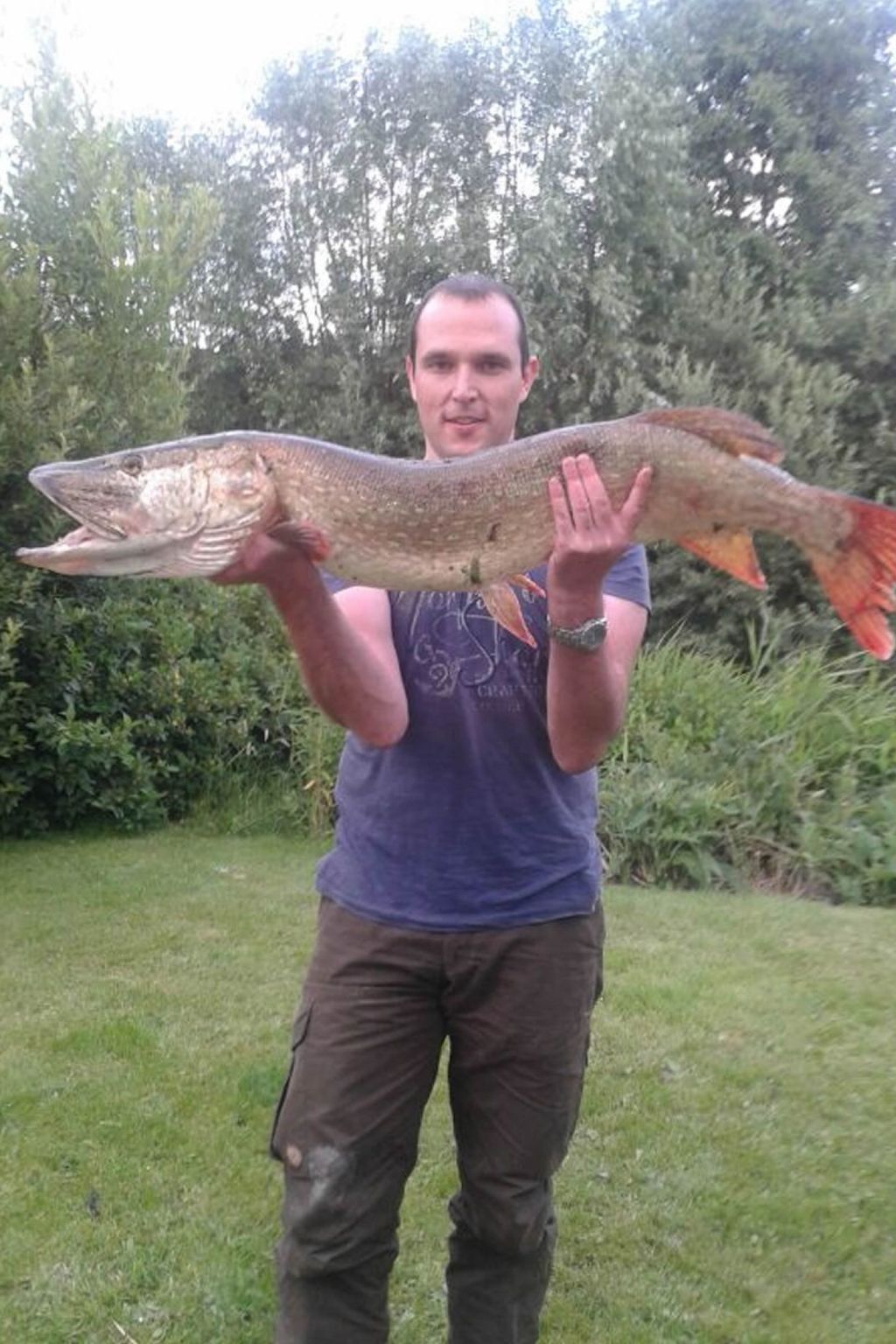 Unterkunft 1605111 - Ferienhaus Lauwersmeer - Vakantiehuis 158 Schafssicht