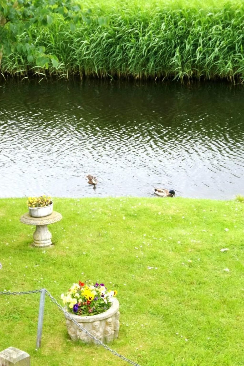 Guest house 1605112 - Holiday property Lauwersmeer - Vakantiehuis 185 Leonie