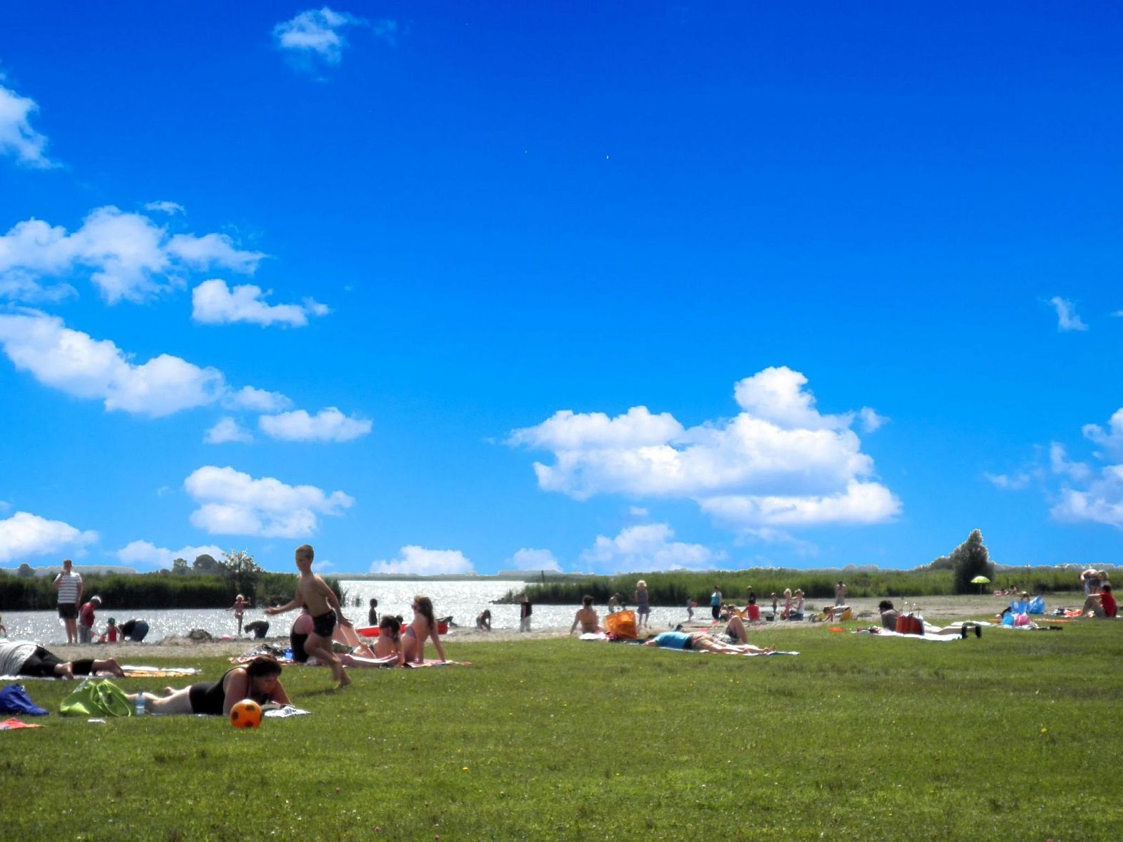 Guest house 1605114 - Holiday property Lauwersmeer - Vakantiehuis 138 Merle