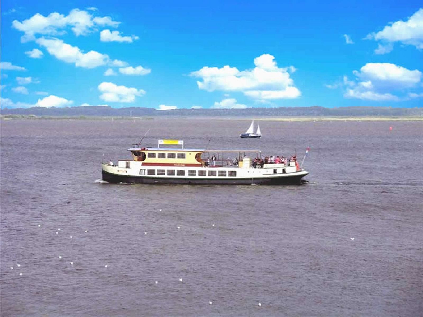 Guest house 1605114 - Holiday property Lauwersmeer - Vakantiehuis 138 Merle