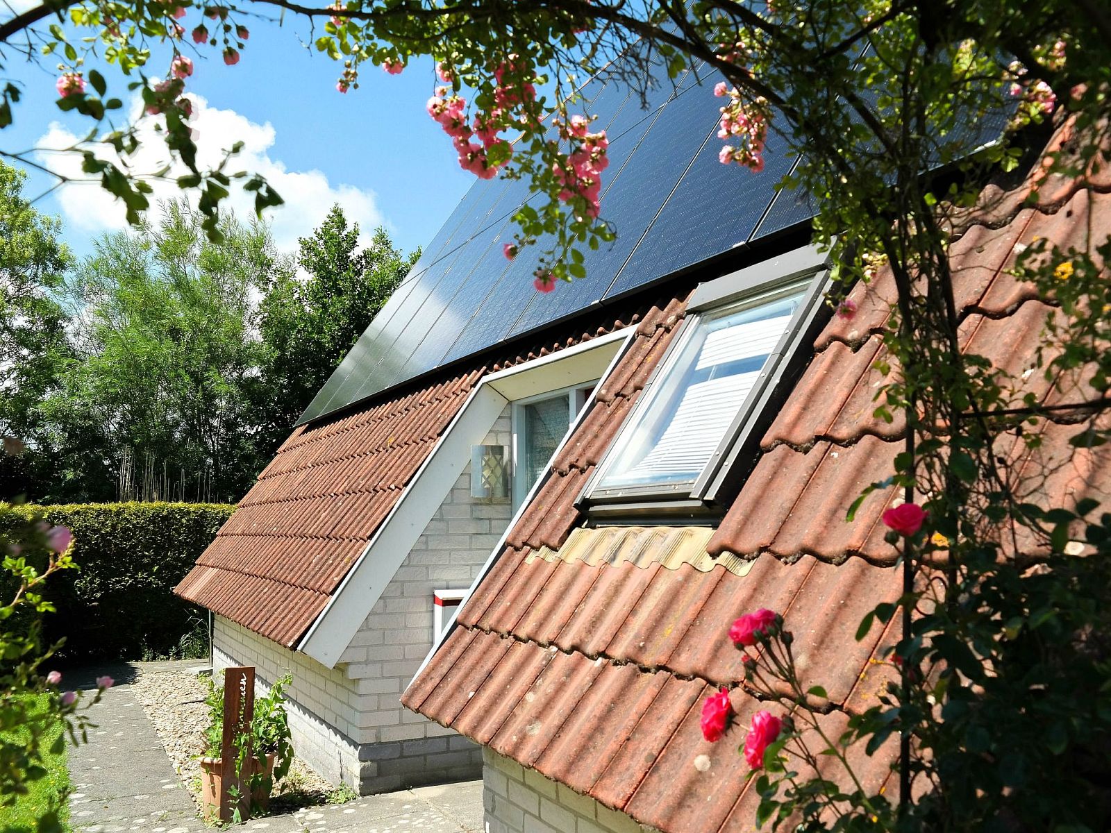 Guest house 1605127 - Holiday property Lauwersmeer - Vakantiehuis 181 Urlaubsruhe