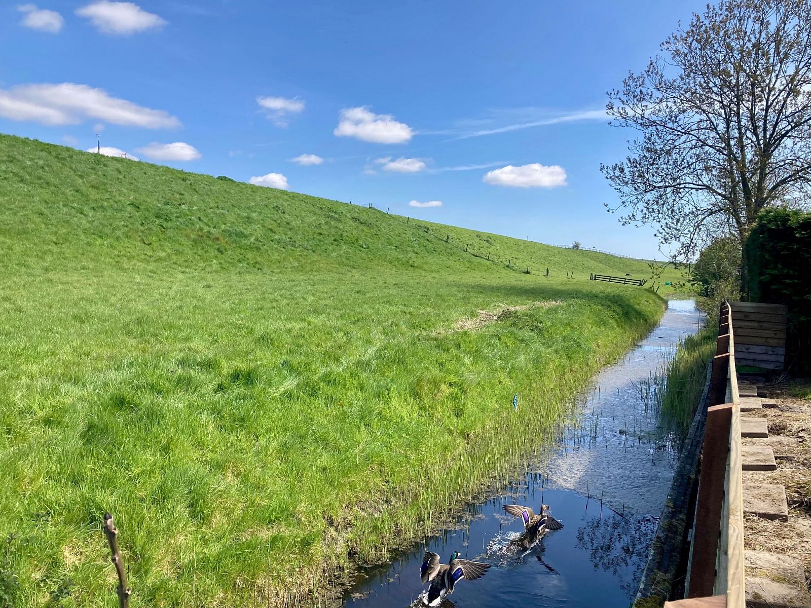 Verblijf 1605170 - Vakantiewoning Lauwersmeer - Vakantiehuis 157 Am Deich