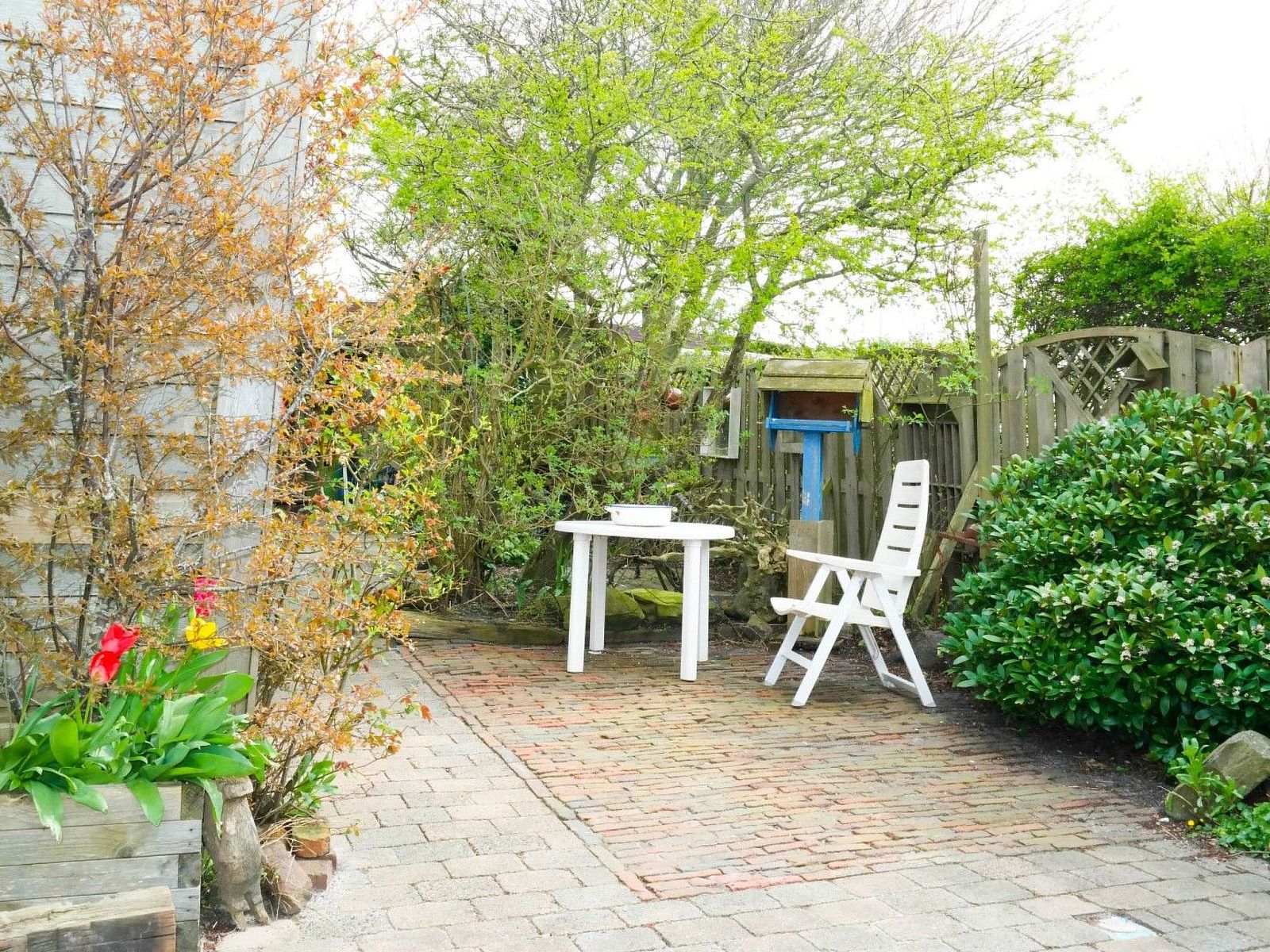 Verblijf 1605173 - Vakantiewoning Lauwersmeer - Vakantiehuis in Anjum mit Sauna, Garten und Terrasse