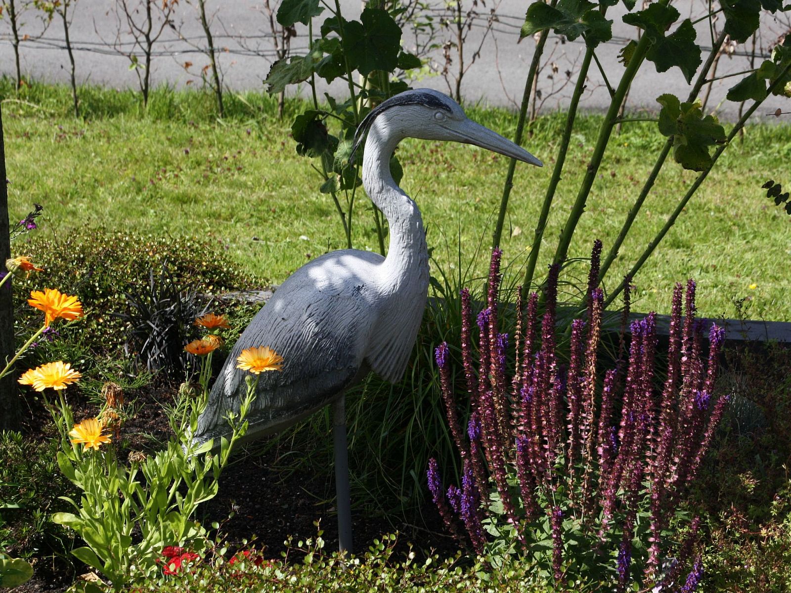 Verblijf 160552 - Vakantiewoning Lauwersmeer - Vakantiehuis Haus Reiher am Lauwersmeer