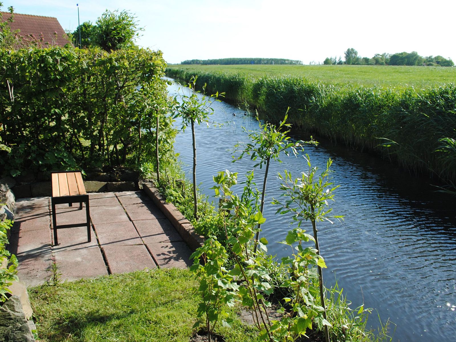 Verblijf 160570 - Vakantiewoning Lauwersmeer - Vakantiehuis Friesje