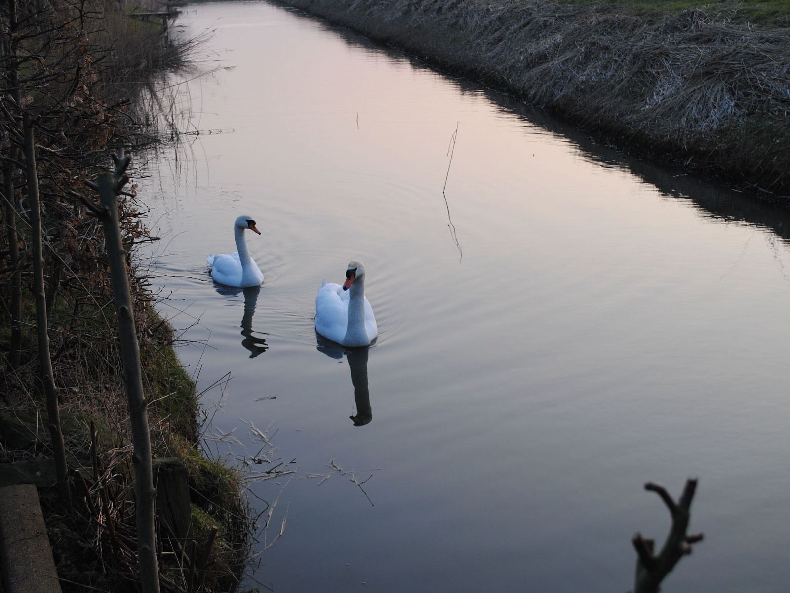 Verblijf 160570 - Vakantiewoning Lauwersmeer - Vakantiehuis Friesje