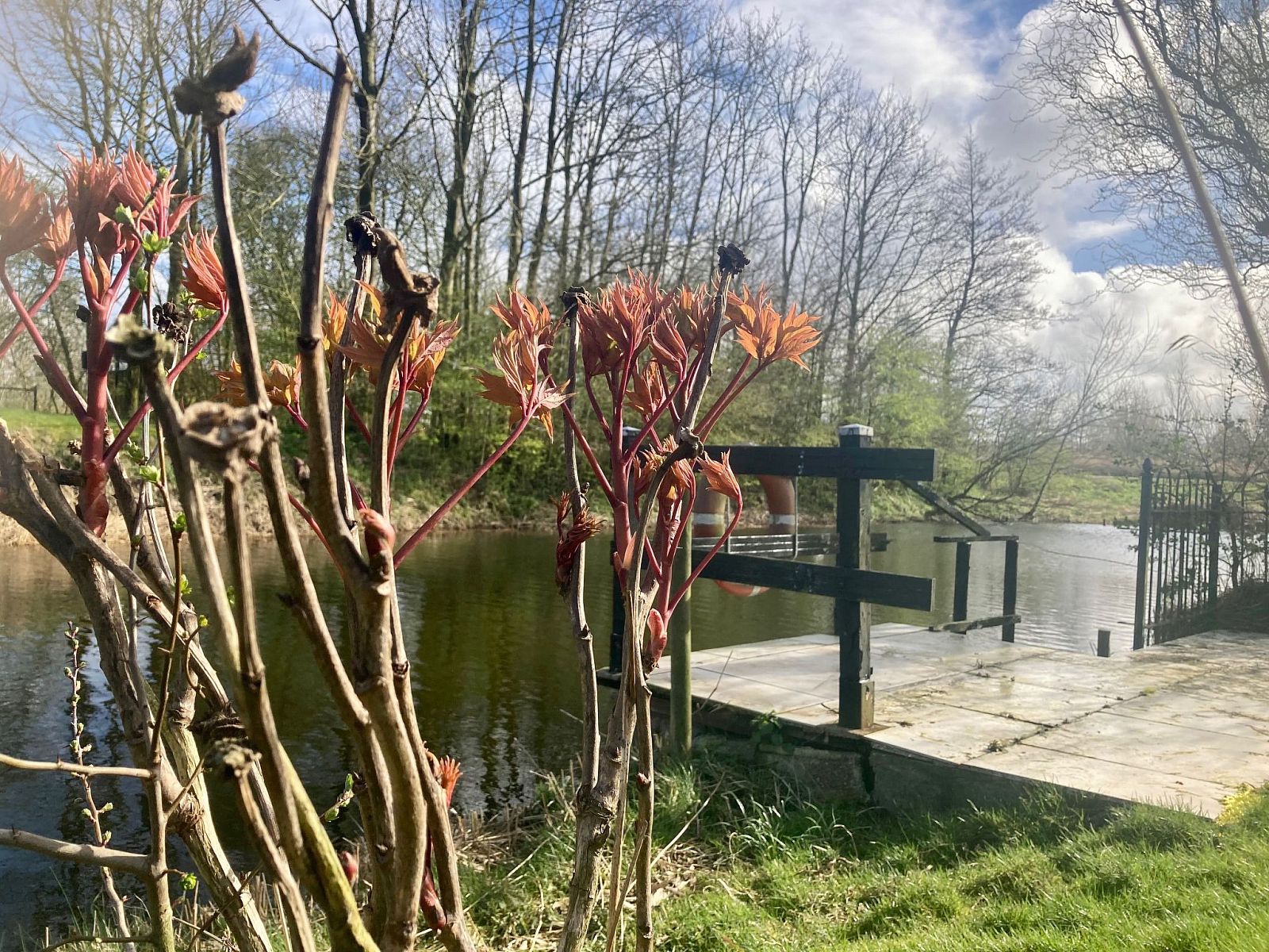 Unterkunft 160581 - Ferienhaus Lauwersmeer - Vakantiehuis 170 Platz an Sonne