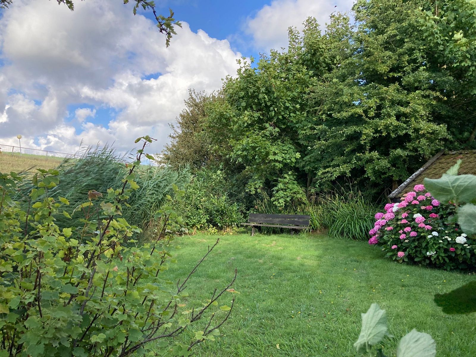 Verblijf 160583 - Vakantiewoning Lauwersmeer - Vakantiehuis haus am Deich!