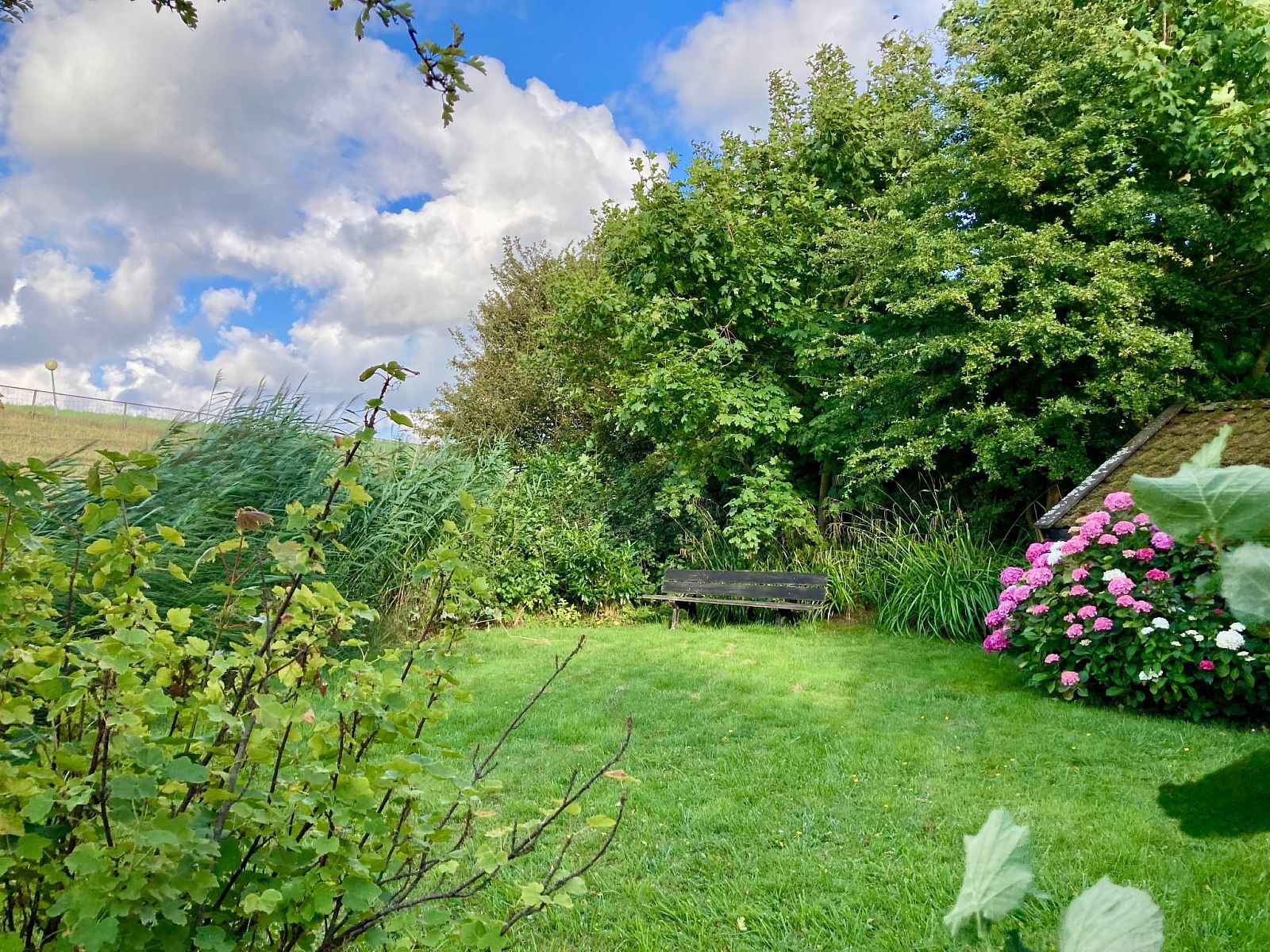 Verblijf 160583 - Vakantiewoning Lauwersmeer - Vakantiehuis haus am Deich!