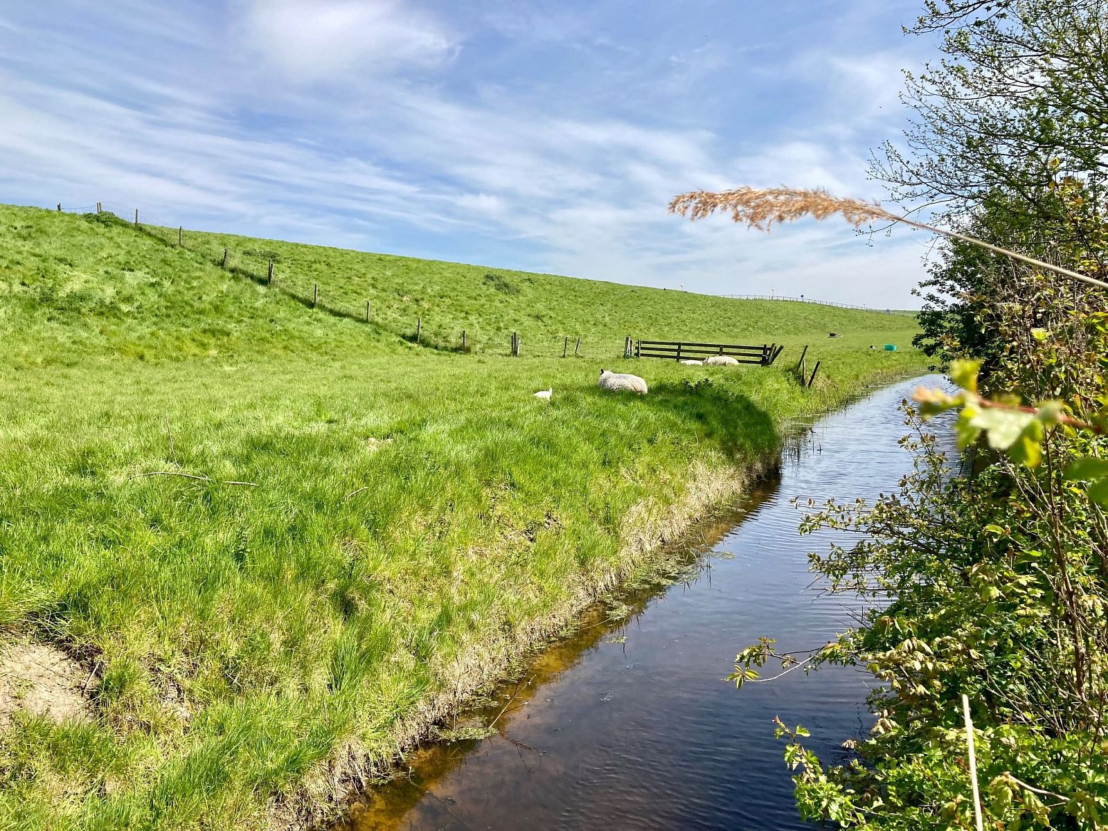 Verblijf 160590 - Vakantiewoning Lauwersmeer - Vakantiehuis 155 Joke am Deich