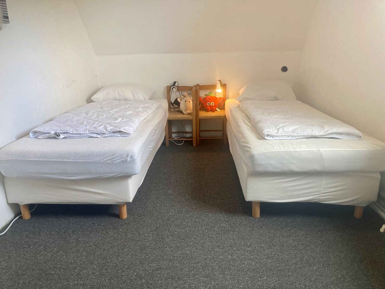 Verblijf 160591 - Vakantiewoning Lauwersmeer - Vakantiehuis 120 Dijkrose