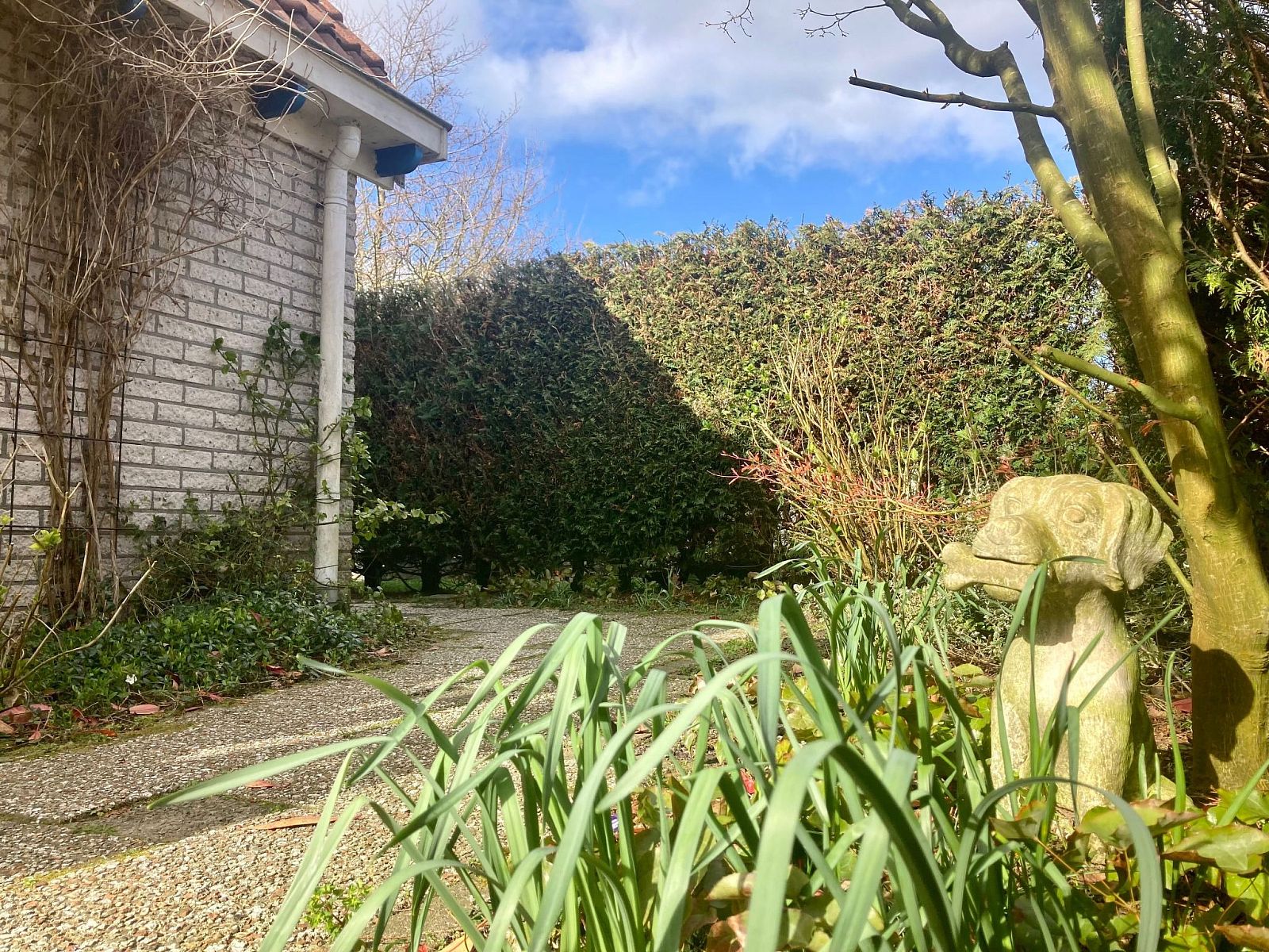Verblijf 160591 - Vakantiewoning Lauwersmeer - Vakantiehuis 120 Dijkrose
