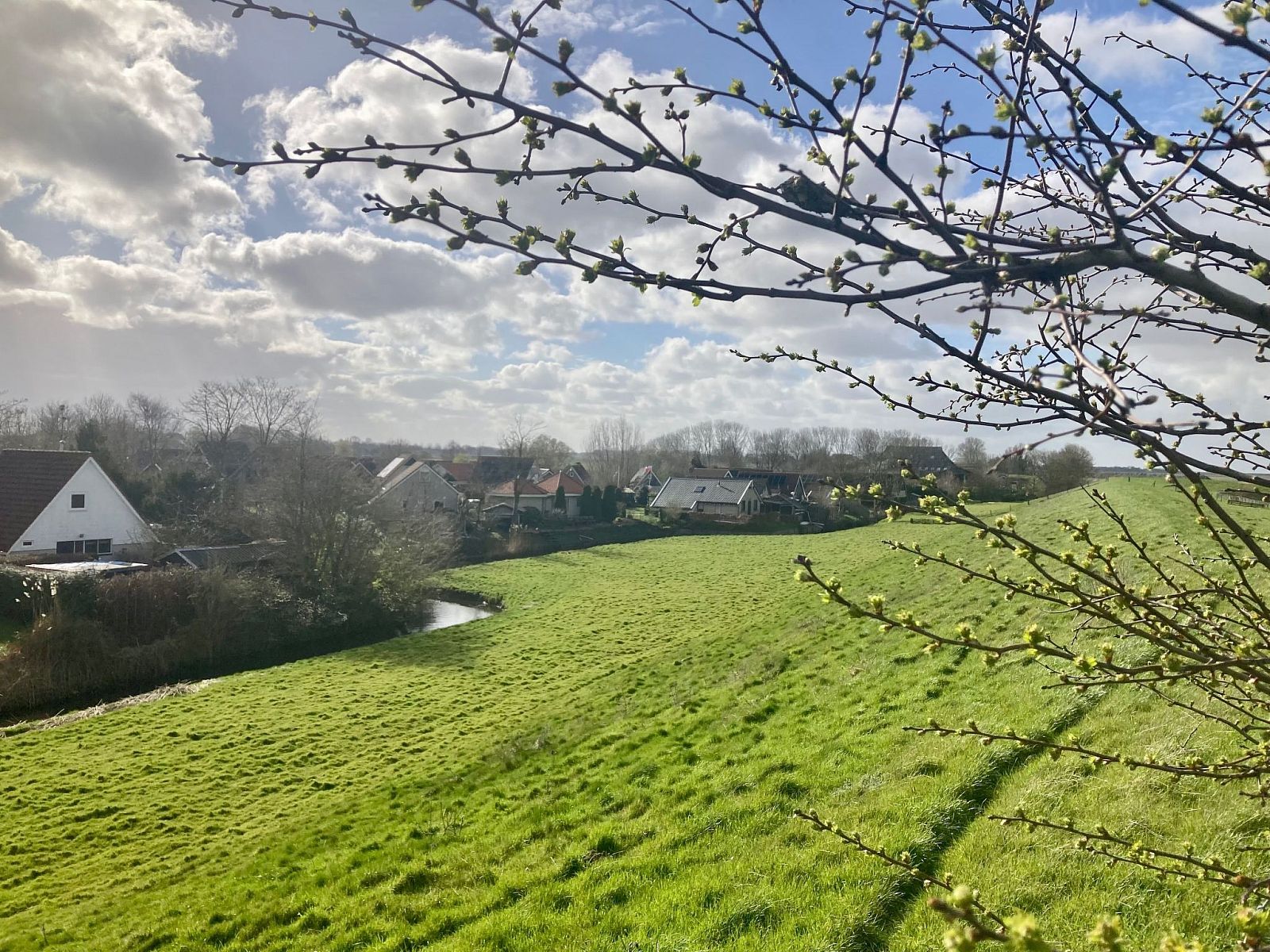 Verblijf 160591 - Vakantiewoning Lauwersmeer - Vakantiehuis 120 Dijkrose