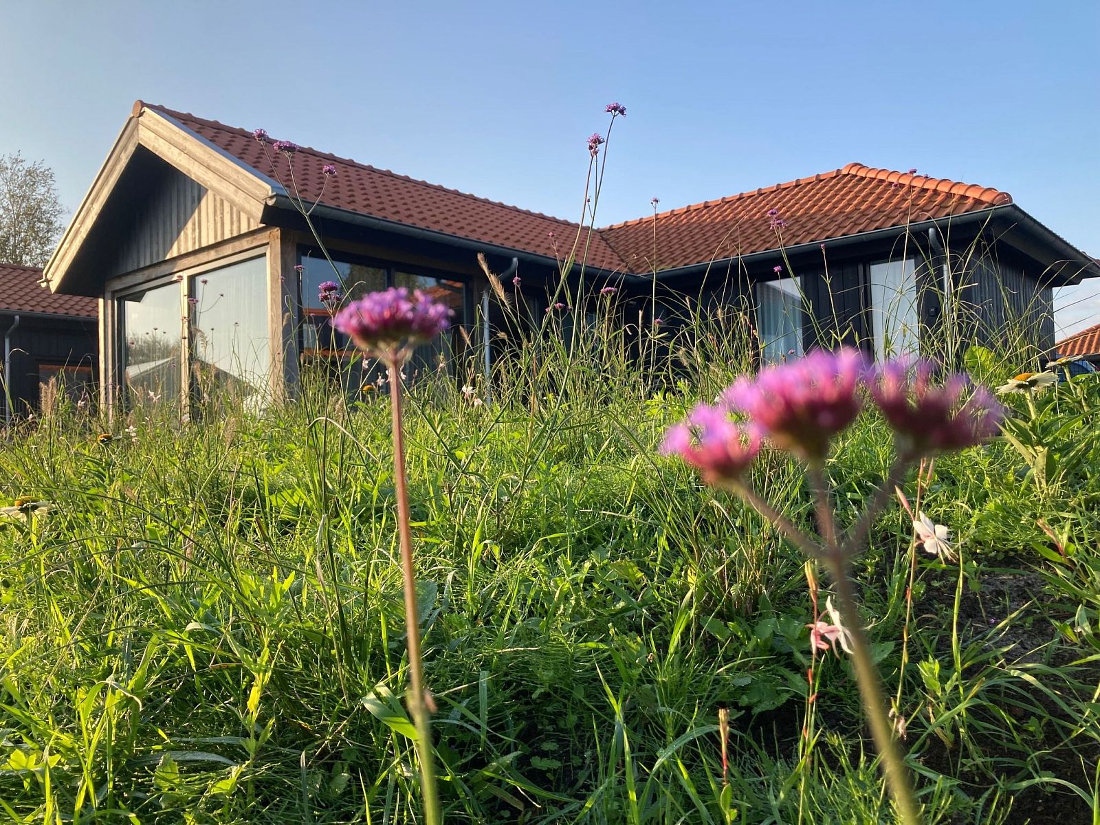 Verblijf 160596 - Vakantiewoning Lauwersmeer - Vakantiehuis Chalet Ufergrundstück mit eigenem Angelplatz