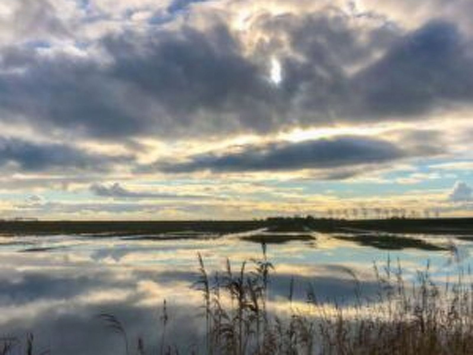 Guest house 160597 - Holiday property Lauwersmeer - Vakantiehuis Haus Sonnenschein mit Blick auf das Lauwersmeer