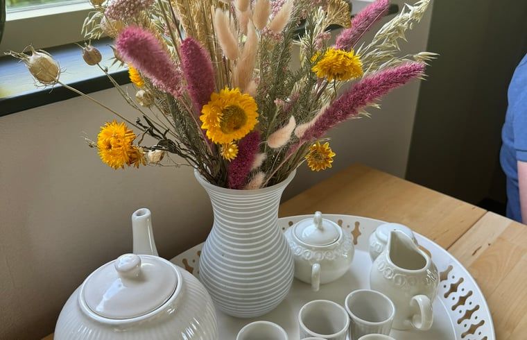 Stijlvolle decoratie in Vakantiehuis in Spier, Midden Drenthe, met een elegante bloemenvaas.