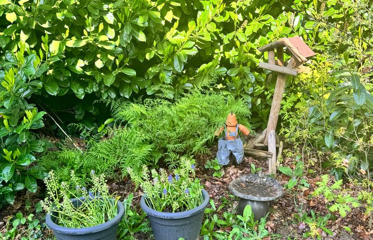 Sfeervolle tuin van Vakantiehuis in Spier met vogelhuisje en planten in Drenthe.