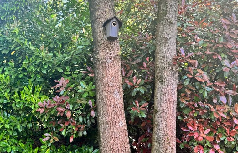 Vogelhuisje in de tuin van Vakantiehuis in Spier, een toevluchtsoord voor vogels in Drenthe.