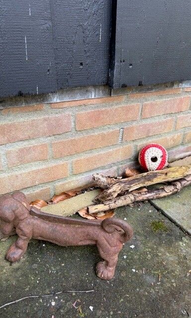 Unterkunft 170110 - Ferienhaus Midden Drenthe - Kipelo Cottage