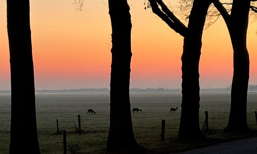 Unterkunft 170110 - Ferienhaus Midden Drenthe - Kipelo Cottage