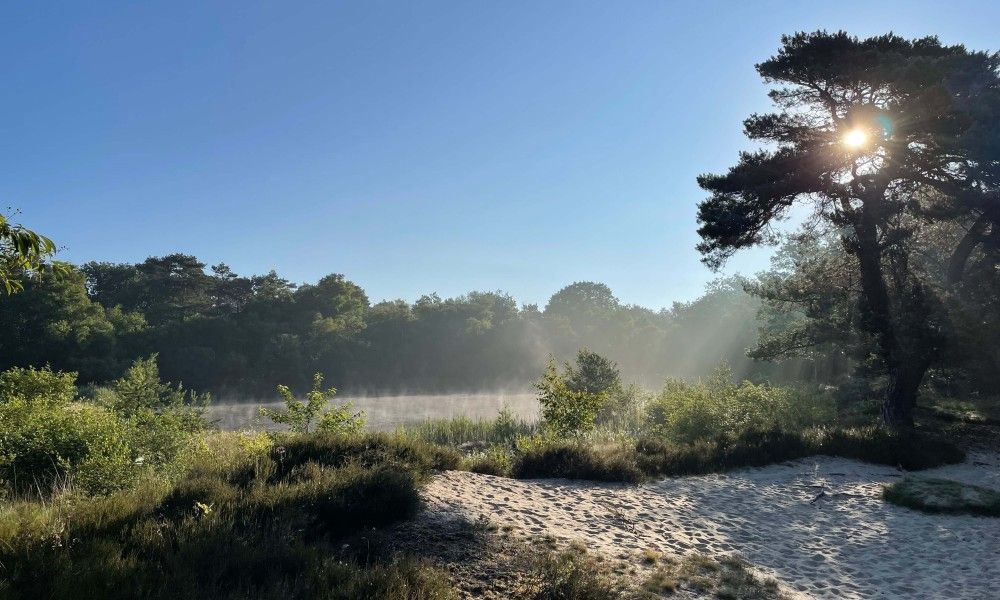 Unterkunft 170110 - Ferienhaus Midden Drenthe - Kipelo Cottage