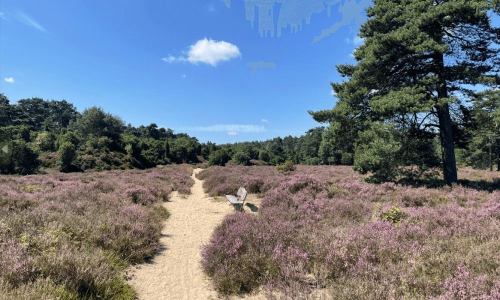 Unterkunft 170110 - Ferienhaus Midden Drenthe - Kipelo Cottage