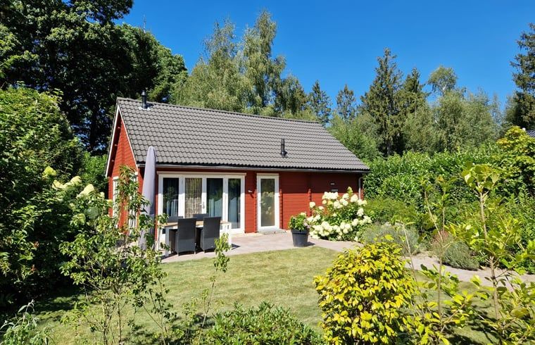 Charming vacation home Cottage in Spier, surrounded by forests in Central Drenthe, for a serene vacation experience.
