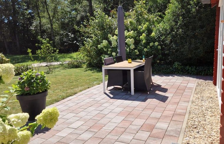 Guest house 170112 - Holiday property Midden Drenthe - Huisje in Spier