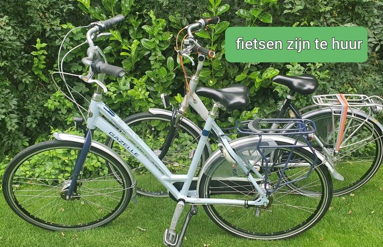 Guest house 170112 - Holiday property Midden Drenthe - Huisje in Spier